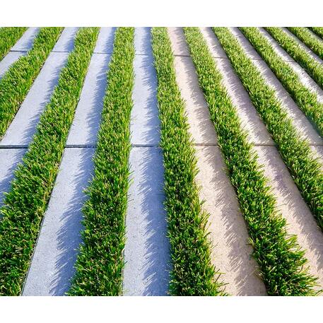 Betoninė ažūrinė trinkelė, plytelė 'Losantilla® Green'