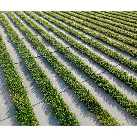 Betoninė ažūrinė trinkelė, plytelė 'Losantilla® Green'