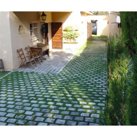 Biologiškai skaidomas medienos kompozito separatorius – žolei augti tarp trinkelių 'Rasen-Mohr ®'