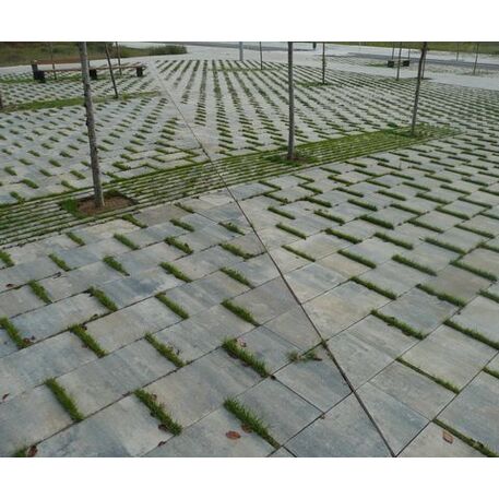 Biologiškai skaidomas medienos kompozito separatorius – žolei augti tarp trinkelių 'Rasen-Mohr ®'