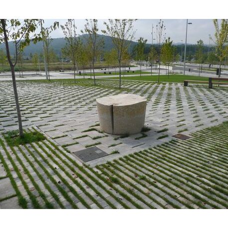 Biologiškai skaidomas medienos kompozito separatorius – žolei augti tarp trinkelių 'Rasen-Mohr ®'