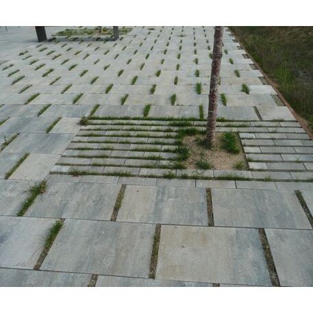 Biologiškai skaidomas medienos kompozito separatorius – žolei augti tarp trinkelių 'Rasen-Mohr ®'