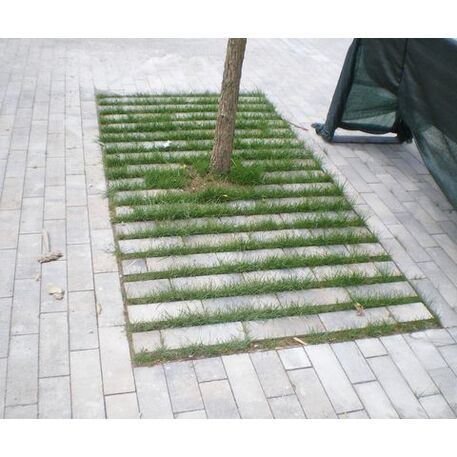 Biologiškai skaidomas medienos kompozito separatorius – žolei augti tarp trinkelių 'Rasen-Mohr ®'