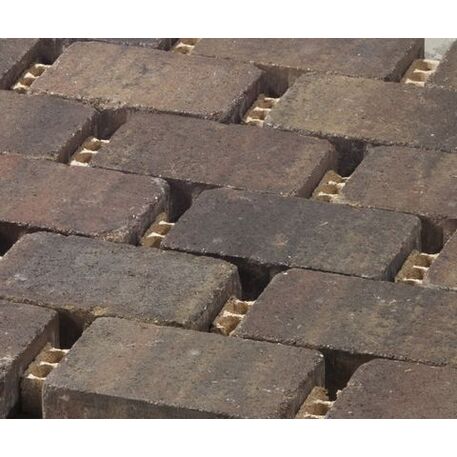 Biologiškai skaidomas medienos kompozito separatorius – žolei augti tarp trinkelių 'Rasen-Mohr ®'