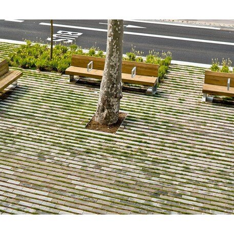 Biologiškai skaidomas medienos kompozito separatorius – žolei augti tarp trinkelių 'Rasen-Mohr ®'