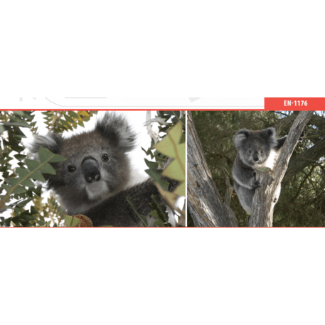 Spyruokliukas vaikų žaidimų aikštelėms 'MBG-1130_RE 334-99'