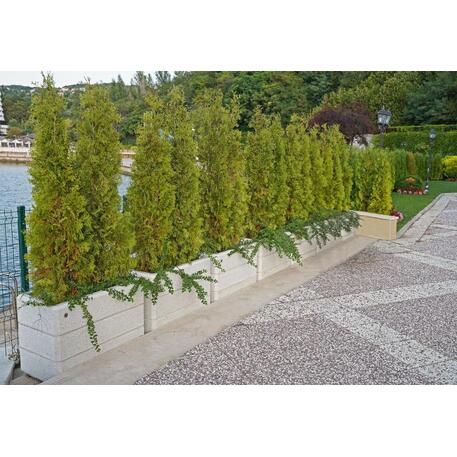 Kvadratinis betoninis vazonas – gėlinė, padengta smulkia granito skaldele 'Premium / 90x50xH/65cm_BS-78'