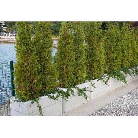 Kvadratinis betoninis vazonas – gėlinė, padengta smulkia granito skaldele 'Premium / 90x50xH/65cm_BS-78'