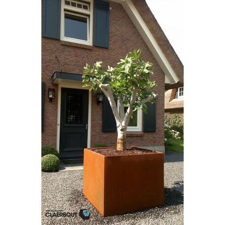 Kvadratinis metalinis lauko vazonas (gėlinė) 'Premium Collection / STF/07-20-06/MDL'