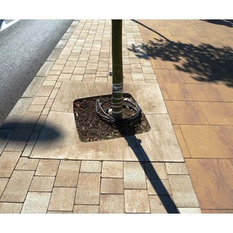 Betoninė medžio šaknų apsauga 'Tree'