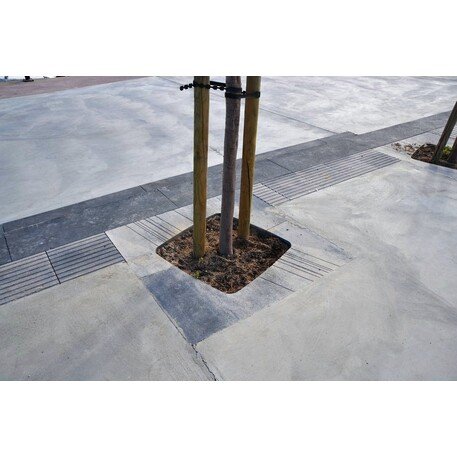 Betoninė medžio šaknų apsauga 'Tree'