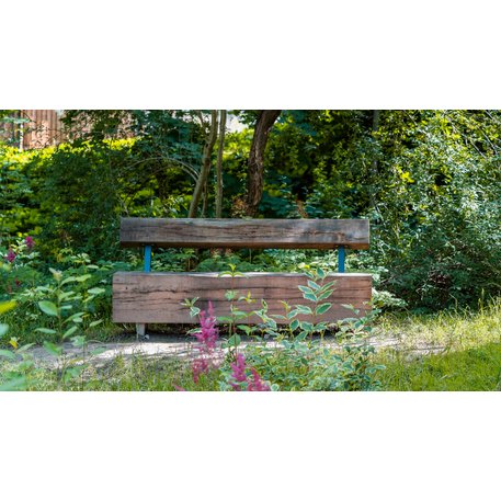 Solid wood bench with backrest, made of oak wood 'Premium Collection / STF/22-04-34/MDL'