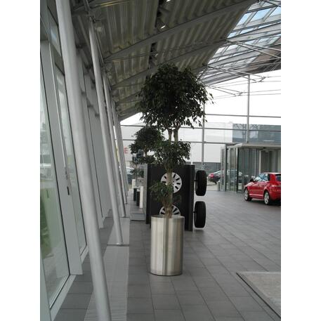 Metalinis lauko vazonas, gėlinė 'Exclusive / STF/07-20-05/MDL'