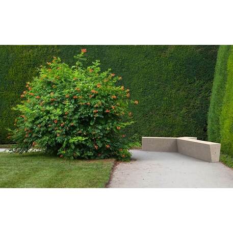 Betoninis lauko suolas 'Regular Trio / 001355'