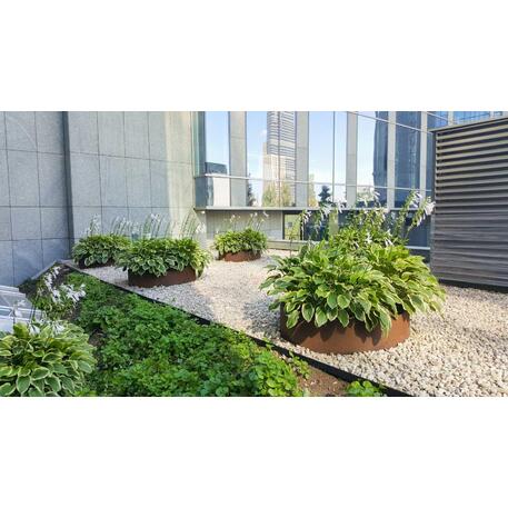 Corten plieno vejos atitvėrimo bortelis, 3 mm storio, aukštis nuo 150 iki 300 mm 'Premium / STF/06-15-01_02/MDL'