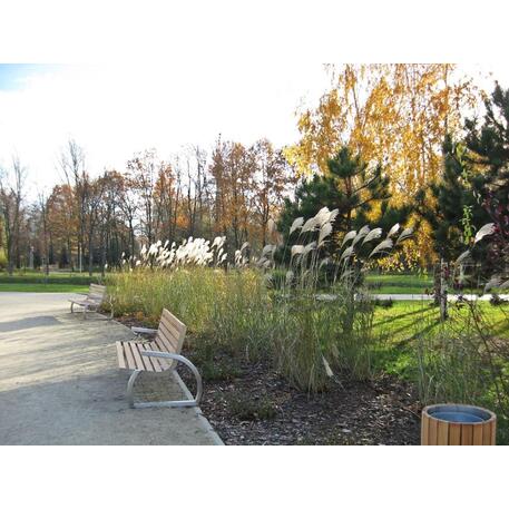 Metalinis suoliukas su atlošu, pagamintas iš Iroko medienos 'Premium / STF/06-04-12/MDL'