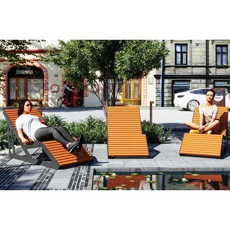 Metalinis gultas, šezlongas su medine gulimaja dalimi 'STF/LM011/MDL'