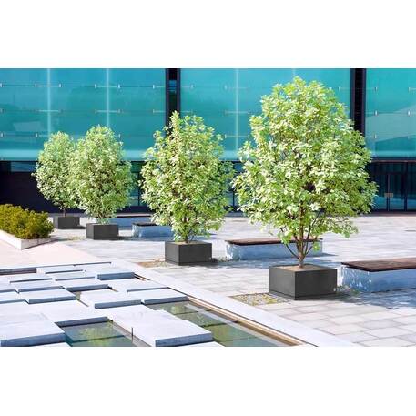 Betoninis lauko vazonas, gėlinė 'Regular / 79x39xH/45cm / BS-183'