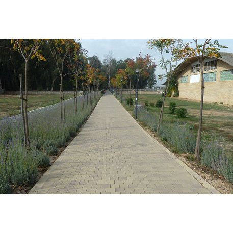 Коллекция бетонной плитки разных размеров и цветов 'Terana® light'