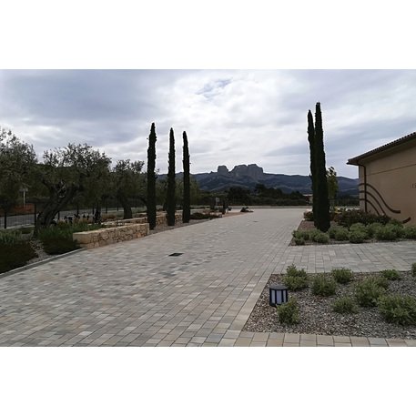 Коллекция бетонной плитки разных размеров и цветов 'Terana® light'