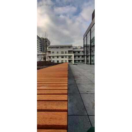 Concrete bench without backrest and with Iroko wood seating 'Premium Collection / STF/13-02-46_01/MDL'