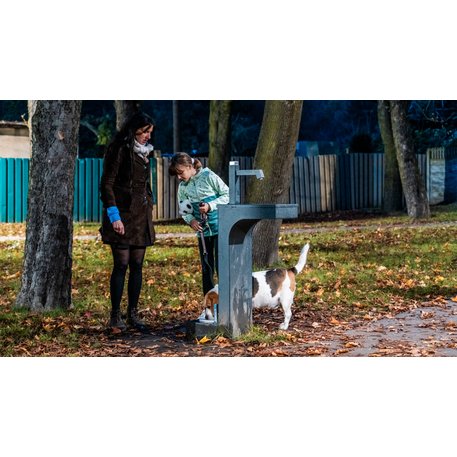 Metalinė geriamojo vandens kolonėlė su fontanu ir gertuve šunims 'Premium Collection / STF/18-41-01_01/MDL'