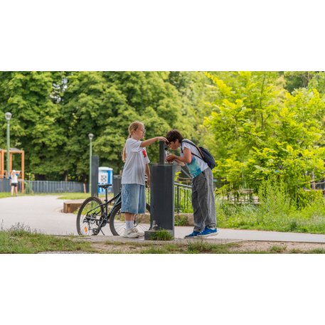 Metalinė geriamojo vandens kolonėlė su fontanu ir gertuve šunims 'Premium Collection / STF/18-41-01_01/MDL'