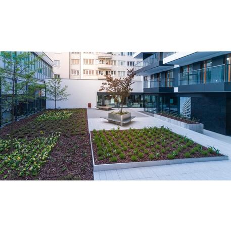 Corten plieno vejos atitvėrimo bortelis, 2 mm storio, aukštis 350 mm 'Premium / STF/20-23-01_01/MDL'