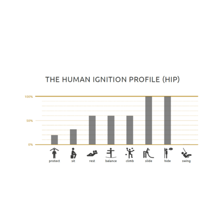 Vaikų žaidimų aikštelių įranga „Layslide 2.4“, kolekcija Playsculptures®