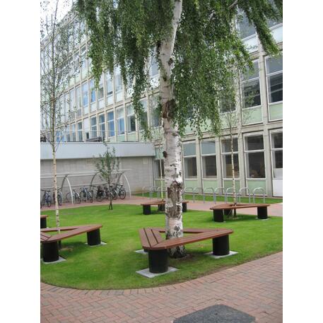 Metalinis suolas (suoliukas) be atlošo, pagamintas iš Iroko medienos 'Premium Collection / STF/06-18-01/MDL'