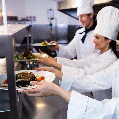 Maisto šildymo stovas 'Premium / 1200x370xH415mm'