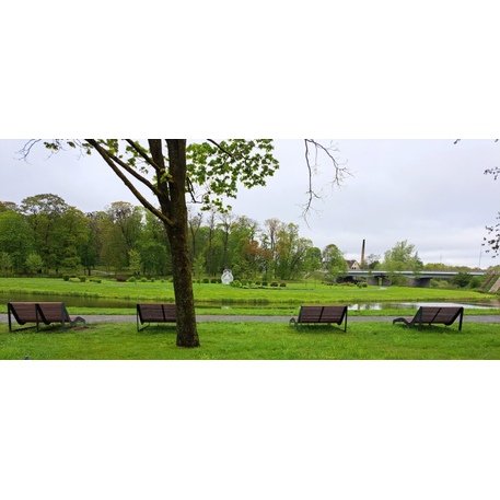 Metalinis gultas, šezlongas su medine sėdimąja dalimi 'BD/LM003_1803/MDL'