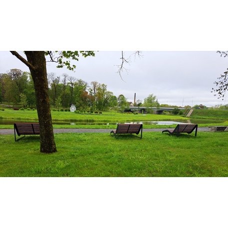 Metalinis gultas, šezlongas su medine sėdimąja dalimi 'BD/LM003_1803/MDL'