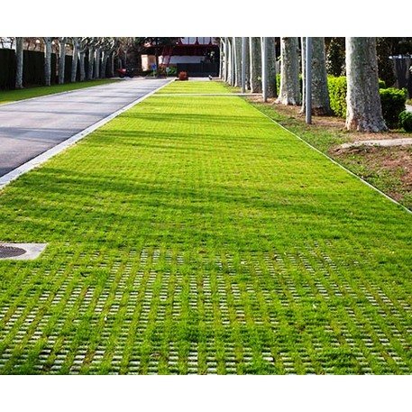 Betoninė ažūrinė trinkelė, plytelė 'Losantilla ®'