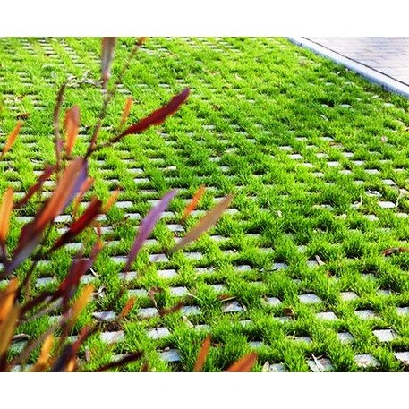 Betoninė ažūrinė trinkelė, plytelė 'Losantilla ®'