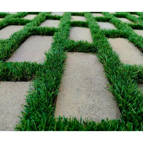 Betoninė ažūrinė trinkelė, plytelė 'O'Green'