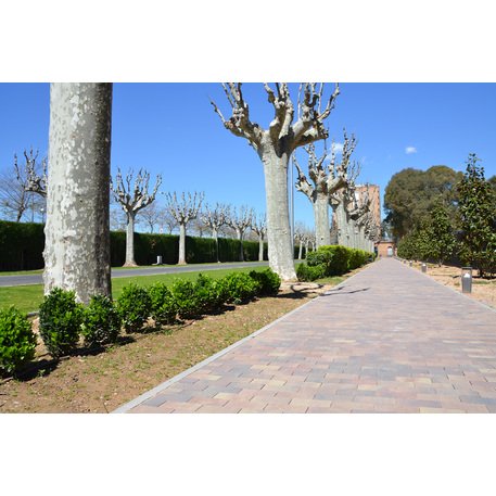 Collezione di pavimentazioni in calcestruzzo di varie dimensioni e colori 'Terana® taco'