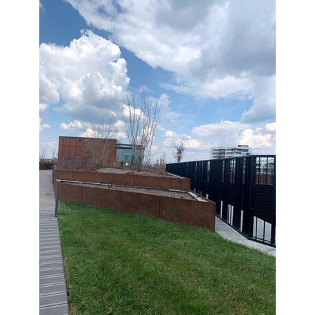 Corten plieno vejos atitvėrimo bortelis, 5 mm storio, aukštis 700 mm 'Premium / STF/24-23-01/MDL'