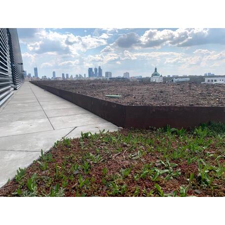 Corten plieno vejos atitvėrimo bortelis, 5 mm storio, aukštis 700 mm 'Premium / STF/24-23-01/MDL'