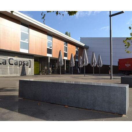 Modulinis betoninis suolas – su arba be medinės sėdimos dalies 'Premium / Basic 60 / MDL_120cm'