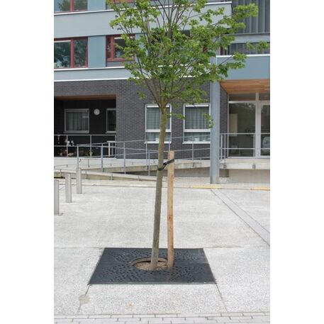 Griglia di protezione per alberi in metallo 'STF/18-16-04/MDL' 