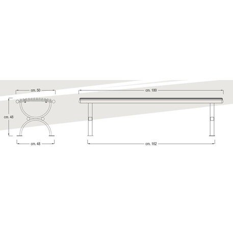 Metallbank 'Clematis 486-P'