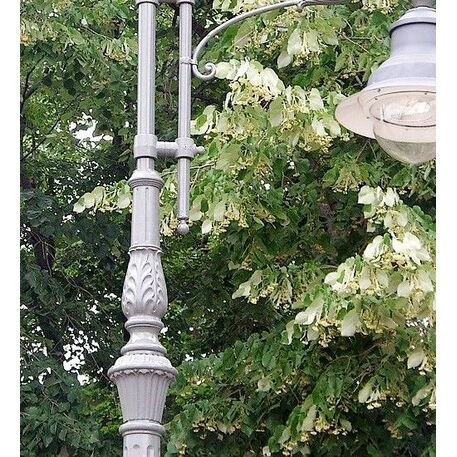 Street Lighting Post 'G31-L1_H/600cm'