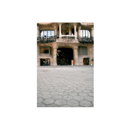 Šešiakampė šaligatvio betoninė plytelė, kolekcija 'Gaudi'